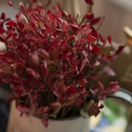 Budor - Graspetten 9 - 60 Min Fra Osl - Familiehytte - 3 Soverom - 7 Senger